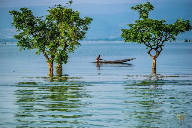 A lone boat at Tanguar Haor