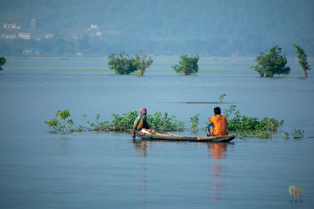 Fishing boat at Tanguar Haor
