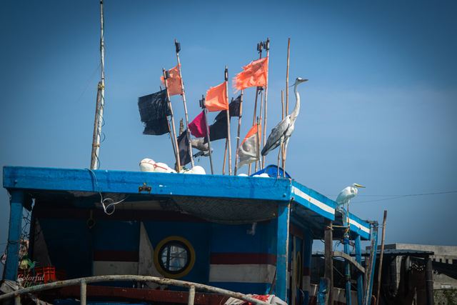 Fishing boat and heron in Sri Lanka